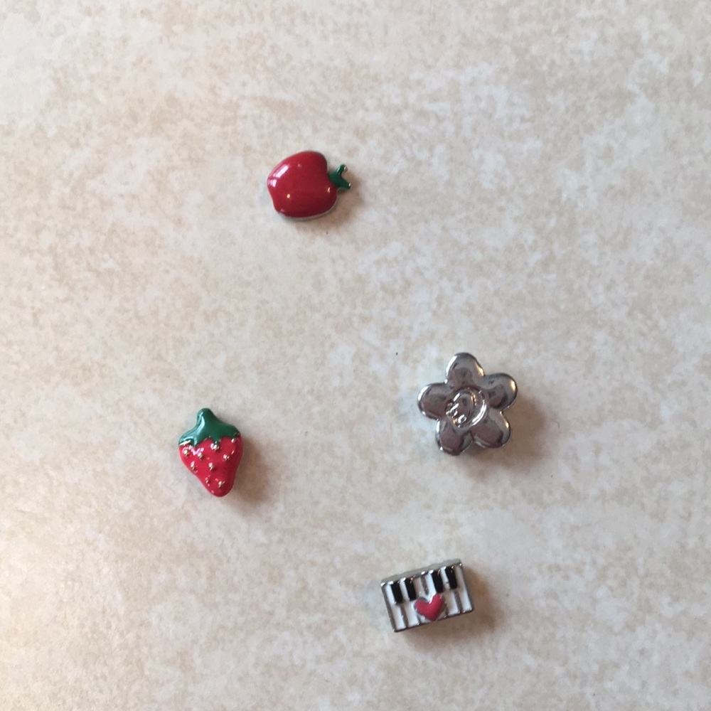 Origami Owl charms, 2014 collection